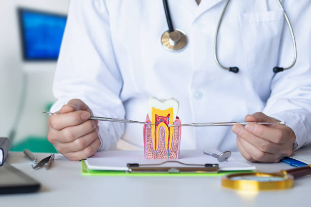 Best Emergency Tooth Extraction  in Pen Argyl, PA